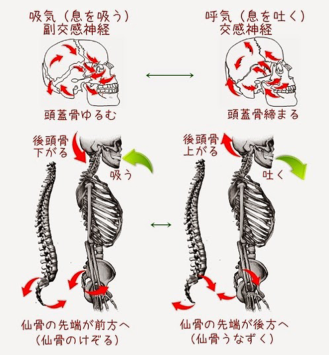 イメージ写真4_2